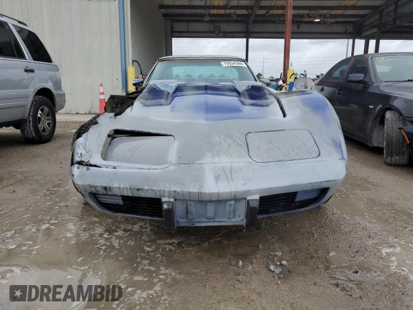 1979 Chevrolet Corvette with VIN 1Z8789S417643, listed as a Copart auction lot 79934384 with 48,973 mi miles and Salvage title. Bid and sale history available at DreamBid. Image 5.