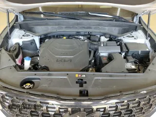 2025 Kia Telluride SX X-Line with VIN 5XYP5DGC2SG591453, listed as a Copart auction lot 55469695 with 4,027 mi miles and Salvage title. Bid and sale history available at DreamBid. Image 12.