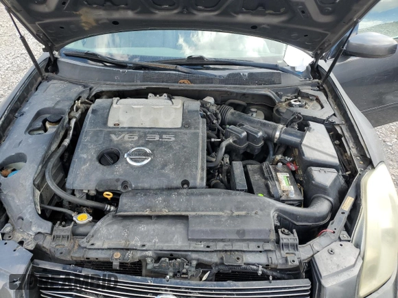 2006 Nissan Maxima 3.5 SE with VIN 1N4BA41EX6C842106, listed as a Copart auction lot 73371904 with 176,934 mi miles and Salvage Title. Bid and sale history available at carsss.com. Image 13.