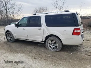 2010 Ford Expedition Max Limited with VIN 1FMJK2A57AEA38393, listed as a Copart auction lot 46665295 with 133,024 mi miles and Salvage title. Bid and sale history available at DreamBid. Image 2.
