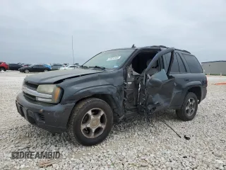 2007 Chevrolet TrailBlazer LS with VIN 1GNDS13S372269615, listed as a Copart auction lot 51014185 with 164,218 mi miles and Salvage Title. Bid and sale history available at DreamBid. Image 1.