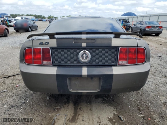 2005 Ford Mustang Deluxe with VIN 1ZVFT80NX55161507, listed as a Copart auction lot 51206095 with 186,626 mi miles and Salvage Title. Bid and sale history available at carsss.com. Image 6.