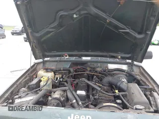 1994 Jeep Cherokee Sport с VIN 1J4FT68S9RL217112, выставлен на аукционе IAAI как лот 42771694 с пробегом 189 770 миль миль и . История ставок и продаж доступна на DreamBid. Изображение 10.