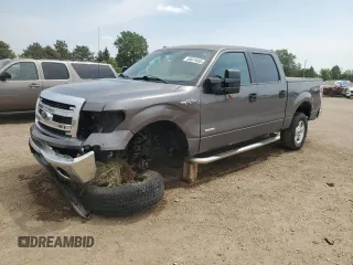 2013 Ford F-150 XL with VIN 1FTFW1ET1DKF57964, listed as a Copart auction lot 58801885 with 176,584 mi miles and Salvage title. Bid and sale history available at DreamBid. Image 1.