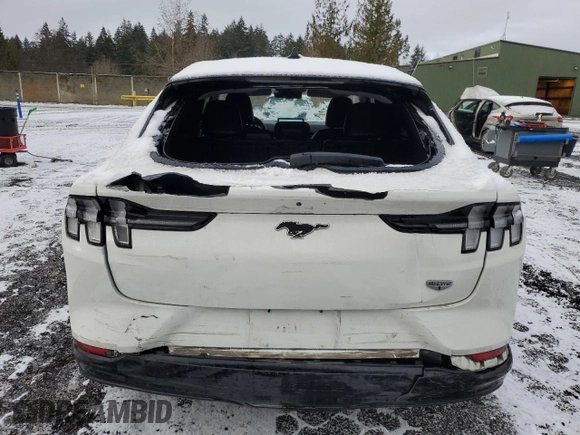 2021 Ford Mustang Mach-E California Route 1 with VIN 3FMTK2R71MMA36197, listed as a Copart auction lot 43654225 with 70,746 mi miles and Salvage Title. Bid and sale history available at DreamBid. Image 6.
