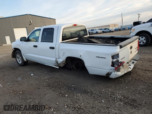 2010 Dodge Dakota Bighorn/Lonestar with VIN 1D7RW3GK8AS212476, listed as a Copart auction lot 81830154 with Not Provided miles and Salvage Title. Bid and sale history available at DreamBid. Image 2.