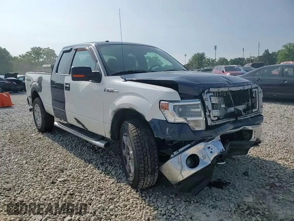2014 Ford F-150 XL with VIN 1FTFX1EF9EFA00091, listed as a Copart auction lot 59362375 with 244,535 mi miles and Salvage title. Bid and sale history available at DreamBid. Image 13.