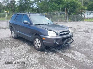 2005 Hyundai Santa Fe GLS with VIN KM8SC13E95U939981, listed as a IAAI auction lot 42852455 with 243,384 mi miles and . Bid and sale history available at DreamBid. Image 1.