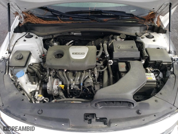 2019 Kia Optima EX with VIN 5XXGU4L19KG298967, listed as a Copart auction lot 48338505 with 115,668 mi miles and Salvage Title. Bid and sale history available at carsss.com. Image 11.