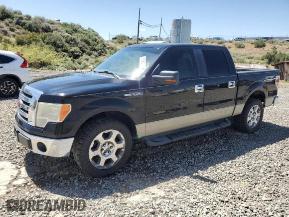 2009 Ford F-150 XL with VIN 1FTRW12889FB46414, listed as a Copart auction lot 57689325 with 197,779 mi miles and Salvage title. Bid and sale history available at DreamBid. Image 1.
