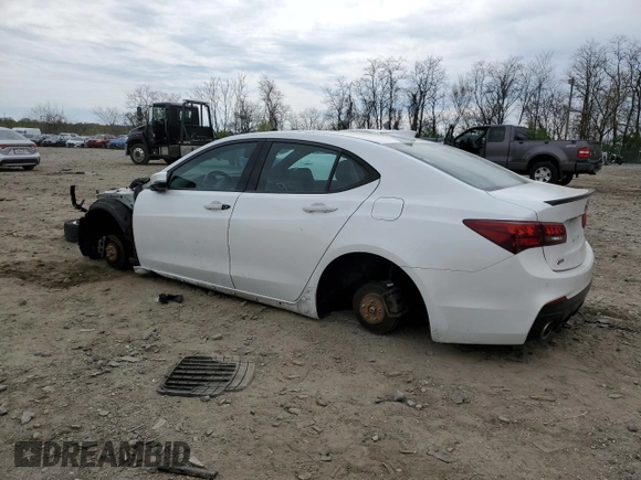 2019 Acura TLX w/A-Spec Pkg with VIN 19UUB3F66KA000513, listed as a Copart auction lot 52788825 with Not provided miles and Salvage title. Bid and sale history available at DreamBid. Image 2.