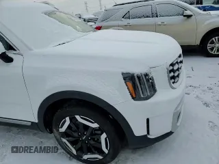 2024 Kia Telluride S with VIN 5XYP6DGC2RG564261, listed as a Copart auction lot 45869985 with 4,606 mi miles and Clean title. Bid and sale history available at DreamBid. Image 12.