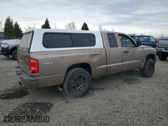 2010 Ram Dakota Bighorn/Lonestar with VIN 1D7RW3BK4AS233705, listed as a Copart auction lot 48189125 with 143,350 mi miles and Salvage Title. Bid and sale history available at carsss.com. Image 3.