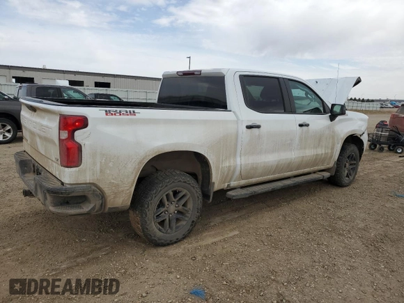 2024 Chevrolet Silverado 1500 with VIN 3GCUDFED6RG344350, listed as a Copart auction lot 52120675 with Not Provided miles and Salvage Title. Bid and sale history available at DreamBid. Image 3.