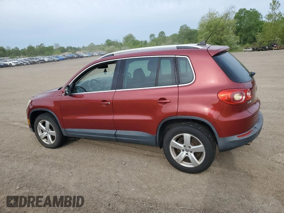 2010 Volkswagen Tiguan S with VIN WVGAV7AX4AW003844, listed as a Copart auction lot 57877965 with 120,783 mi miles and Clean title. Bid and sale history available at DreamBid. Image 2.