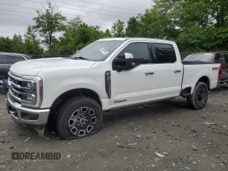 2024 Ford F-350 XL with VIN 1FT8W3BM2REE22287, listed as a Copart auction lot 58079025 with 11,384 mi miles and Salvage title. Bid and sale history available at DreamBid. Image 1.