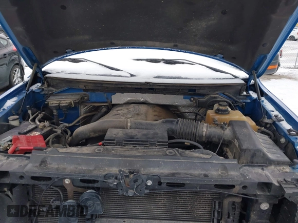 2013 Ford F-150 XL with VIN 1FTFX1ET9DFA00998, listed as a IAAI auction lot 41216058 with 168,995 mi miles and . Bid and sale history available at DreamBid. Image 10.