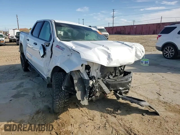 2021 Chevrolet Silverado 1500 Custom Trail Boss with VIN 1GCPYCEF2MZ280981, listed as a Copart auction lot 49270005 with Not Provided miles and Salvage Title. Bid and sale history available at DreamBid. Image 10.