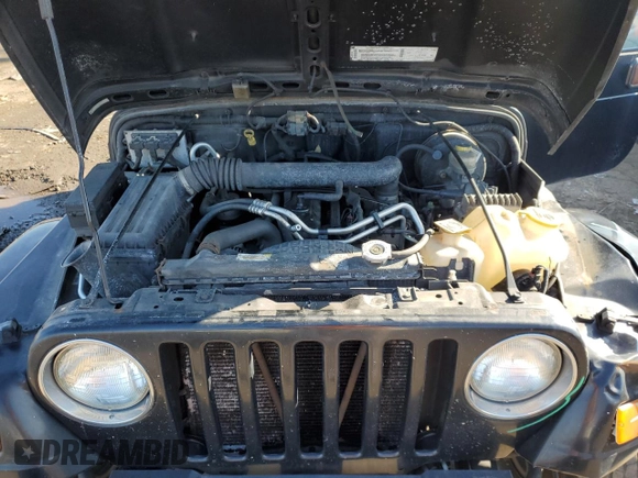 2003 Jeep Wrangler X with VIN 1J4FA39S33P357059, listed as a Copart auction lot 48983315 with 166,532 mi miles and Salvage title. Bid and sale history available at DreamBid. Image 11.