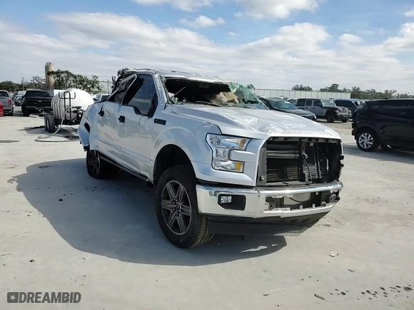 2017 Ford F-150 XL with VIN 1FTEW1C82HFB11346, listed as a Copart auction lot 46518615 with 0 mi miles and Non Repairable. Bid and sale history available at carsss.com. Image 13.