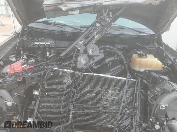 2013 Ford F-150 XL with VIN 1FTEX1CM8DFB22761, listed as a Copart auction lot 81701414 with Not Provided miles and Salvage Title. Bid and sale history available at carsss.com. Image 11.