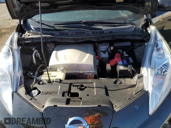 2016 Nissan LEAF S with VIN 1N4BZ0CP3GC314800, listed as a Copart auction lot 73349453 with 62,432 mi miles and . Bid and sale history available at DreamBid. Image 11.