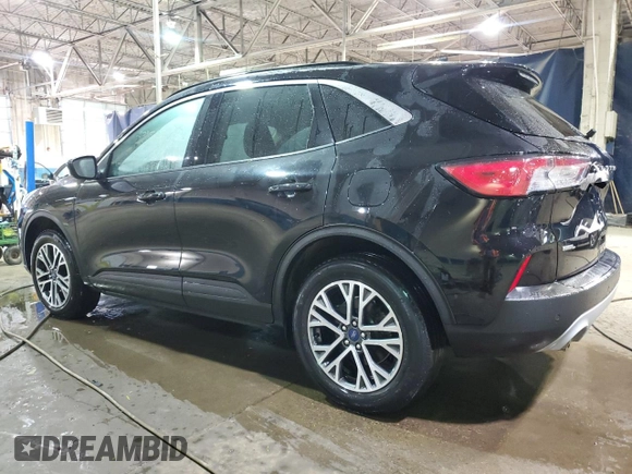 2020 Ford Escape SEL with VIN 1FMCU9H68LUC77289, listed as a Copart auction lot 53129255 with 48,740 mi miles and Salvage title. Bid and sale history available at DreamBid. Image 2.