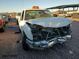 2004 Chevrolet Silverado 1500 LS with VIN 1GCEC14V54Z307206, listed as a Copart auction lot 76308604 with 0 mi miles and Salvage Title. Bid and sale history available at carsss.com. Image 10.