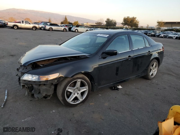 2006 Acura TL with VIN 19UUA66236A058490, listed as a Copart auction lot 43248795 with NaN miles and Salvage Title. Bid and sale history available at carsss.com. Image 1.