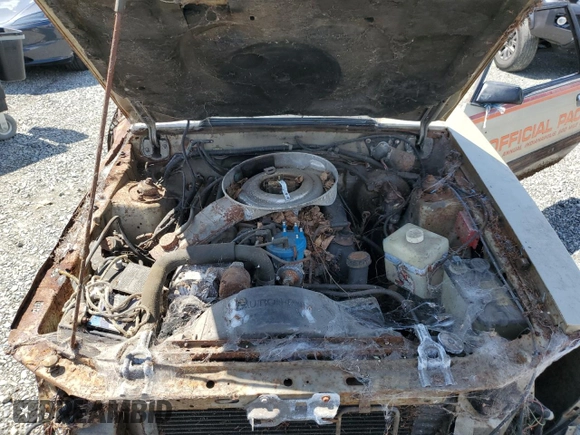 1979 Ford Mustang с VIN 9R03F481171, выставлен на аукционе Copart как лот 56787595 с пробегом 79 124 миль миль и Чистый • Clean title. История ставок и продаж доступна на DreamBid. Изображение 11.