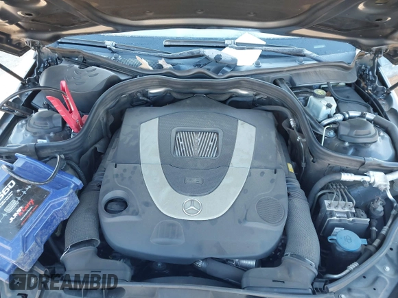2010 Mercedes-Benz E 550 Luxury with VIN WDDHF7CB8AA161530, listed as a IAAI auction lot 41347163 with 184,364 mi miles and . Bid and sale history available at DreamBid. Image 10.