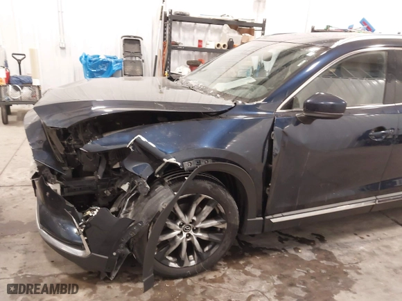 2016 Mazda CX-9 Grand Touring with VIN JM3TCBDY9G0109770, listed as a IAAI auction lot 41551085 with 131,812 mi miles. Bid and sale history available at carsss.com. Image 18.