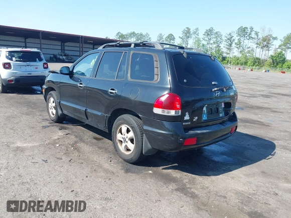 2006 Hyundai Santa Fe GLS with VIN KM8SC73EX6U047906, listed as a IAAI auction lot 42013780 with 200,828 mi miles. Bid and sale history available at carsss.com. Image 3.