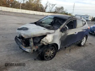 2010 Hyundai Tucson GLS with VIN KM8JU3AC1AU092227, listed as a Copart auction lot 47579144 with Not Provided miles and Non Repairable. Bid and sale history available at DreamBid. Image 1.