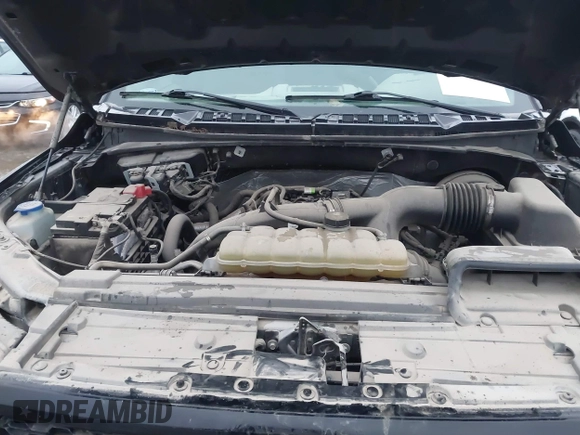 2019 Ford F-150 XL with VIN 1FTEW1CPXKKD88784, listed as a IAAI auction lot 41229831 with 83,384 mi miles and . Bid and sale history available at carsss.com. Image 10.
