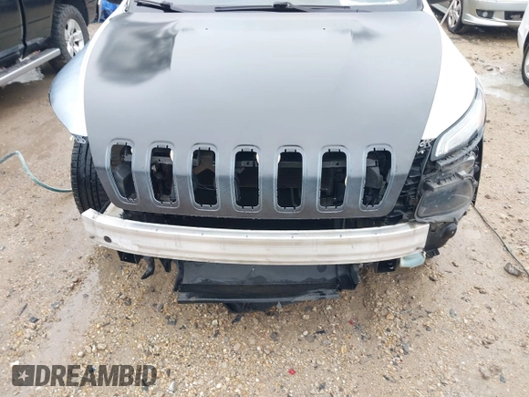 2017 Jeep Cherokee Latitude with VIN 1C4PJLCB5HW514171, listed as a IAAI auction lot 41572117 with 110,632 mi miles and . Bid and sale history available at DreamBid. Image 6.