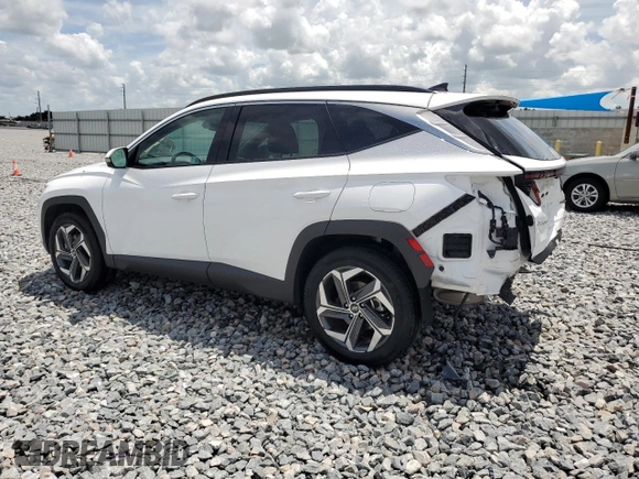 2024 Hyundai Tucson Limited with VIN 5NMJECDE5RH382973, listed as a Copart auction lot 61405635 with 35,692 mi miles and Clean title. Bid and sale history available at DreamBid. Image 2.