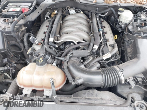 2015 Ford Mustang GT with VIN 1FA6P8CF0F5412781, listed as a IAAI auction lot 42186800 with 113,403 mi miles and . Bid and sale history available at DreamBid. Image 10.