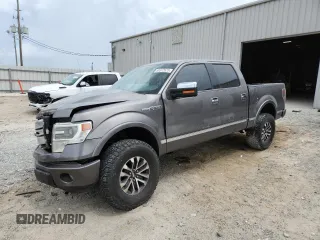 2013 Ford F-150 XL with VIN 1FTFW1ETXDFD53270, listed as a Copart auction lot 60372525 with Not provided miles and Salvage title. Bid and sale history available at DreamBid. Image 1.