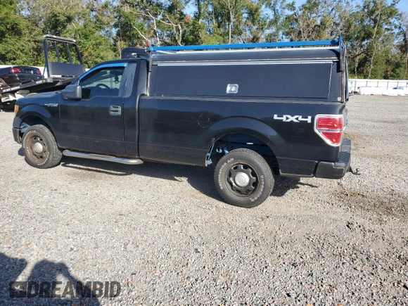 2013 Ford F-150 XL with VIN 1FTMF1EM2DKF82341, listed as a Copart auction lot 79091004 with 185,594 mi miles and Non Repairable. Bid and sale history available at DreamBid. Image 2.
