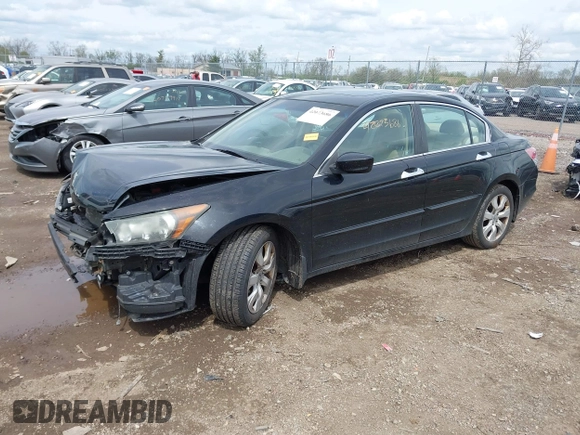 2010 Honda Accord EX-L z VIN 1HGCP3F85AA016912, wystawiony jako IAAI lot #42073686 z przebiegiem 210 144 mil mil oraz . Historia ofert i sprzedaży dostępna na DreamBid. Obrazek 18.