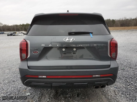2024 Hyundai Palisade XRT with VIN KM8R34GEXRU798595, listed as a Copart auction lot 88779535 with 16,994 mi miles and Salvage Title. Bid and sale history available at carsss.com. Image 6.