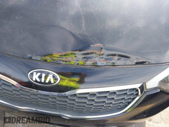 2016 Kia Forte EX z VIN KNAFX4A86G5528170, wystawiony jako IAAI lot #40976618 z przebiegiem 131 963 mil mil oraz . Historia ofert i sprzedaży dostępna na DreamBid. Obrazek 18.