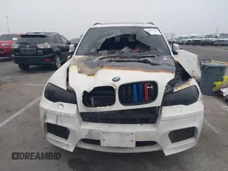 2010 BMW X5 M with VIN 5YMGY0C52ALK25509, listed as a IAAI auction lot 41227049 with 1 mi miles. Bid and sale history available at carsss.com. Image 12.