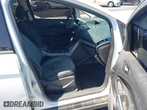 2013 Ford C-Max SE with VIN 1FADP5AU9DL556619, listed as a IAAI auction lot 42140929 with 254,722 mi miles. Bid and sale history available at carsss.com. Image 5.