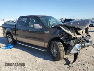 2005 Ford F-150 XLT with VIN 1FTRW12W65KD95732, listed as a Copart auction lot 48598155 with 195,368 mi miles and Salvage Title. Bid and sale history available at DreamBid. Image 4.