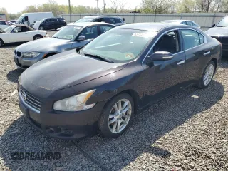 2011 Nissan Maxima SV with VIN 1N4AA5AP9BC804055, listed as a Copart auction lot 53444855 with 237,540 mi miles and Clean title. Bid and sale history available at DreamBid. Image 1.