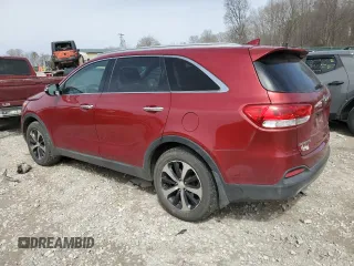 2016 Kia Sorento EX with VIN 5XYPH4A59GG152422, listed as a Copart auction lot 48296965 with 125,840 mi miles and Clean Title. Bid and sale history available at carsss.com. Image 2.