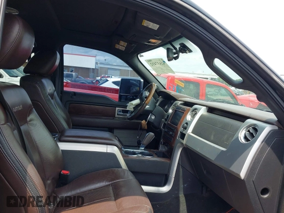 2009 Ford F-150 XL with VIN 1FTPW12V99FB32566, listed as a IAAI auction lot 42437432 with 203,434 mi miles and . Bid and sale history available at DreamBid. Image 5.