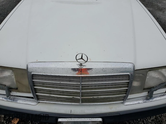 1990 Mercedes-Benz 300 with VIN WDBEB28D0LB224203, listed as a Copart auction lot 56349565 with 239,773 mi miles and Clean Title. Bid and sale history available at DreamBid. Image 11.